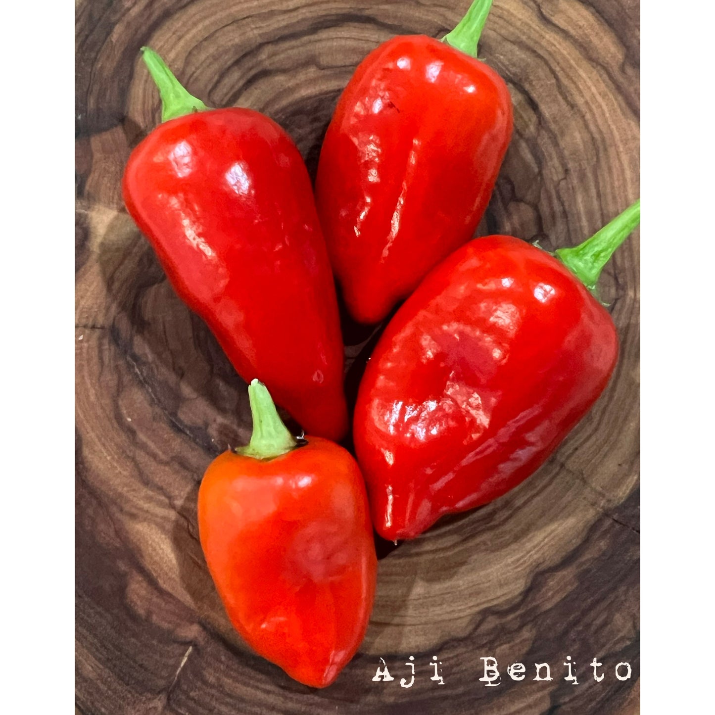 Aji Benito - Hot Pepper Seeds