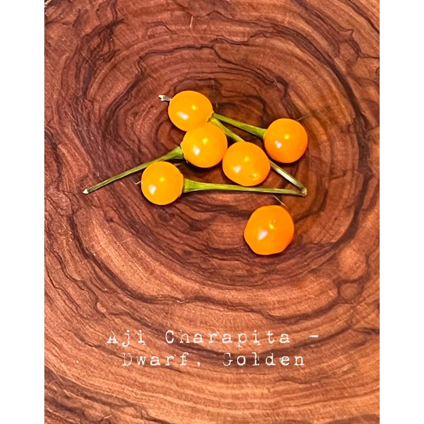 Aji Charapita Dwarf Hot Pepper Seeds