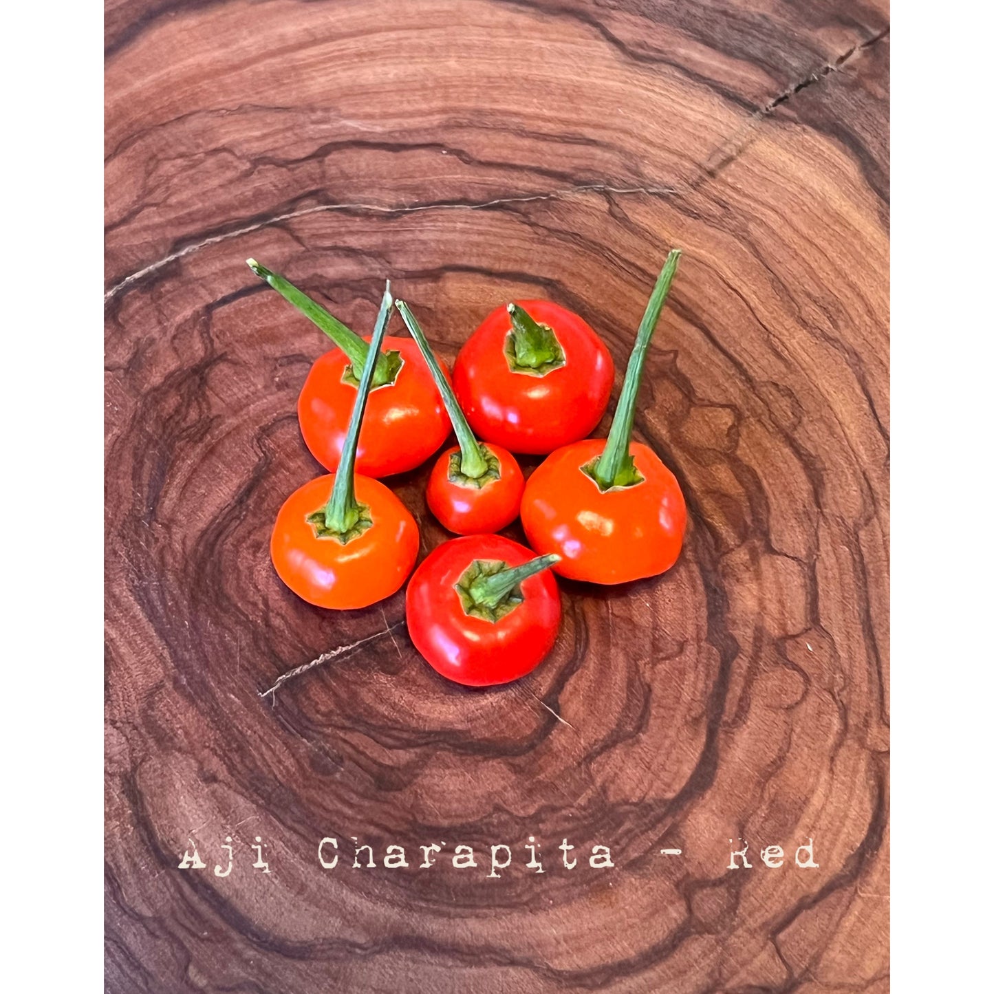 Aji Charapita Red Round Hot Pepper Seeds
