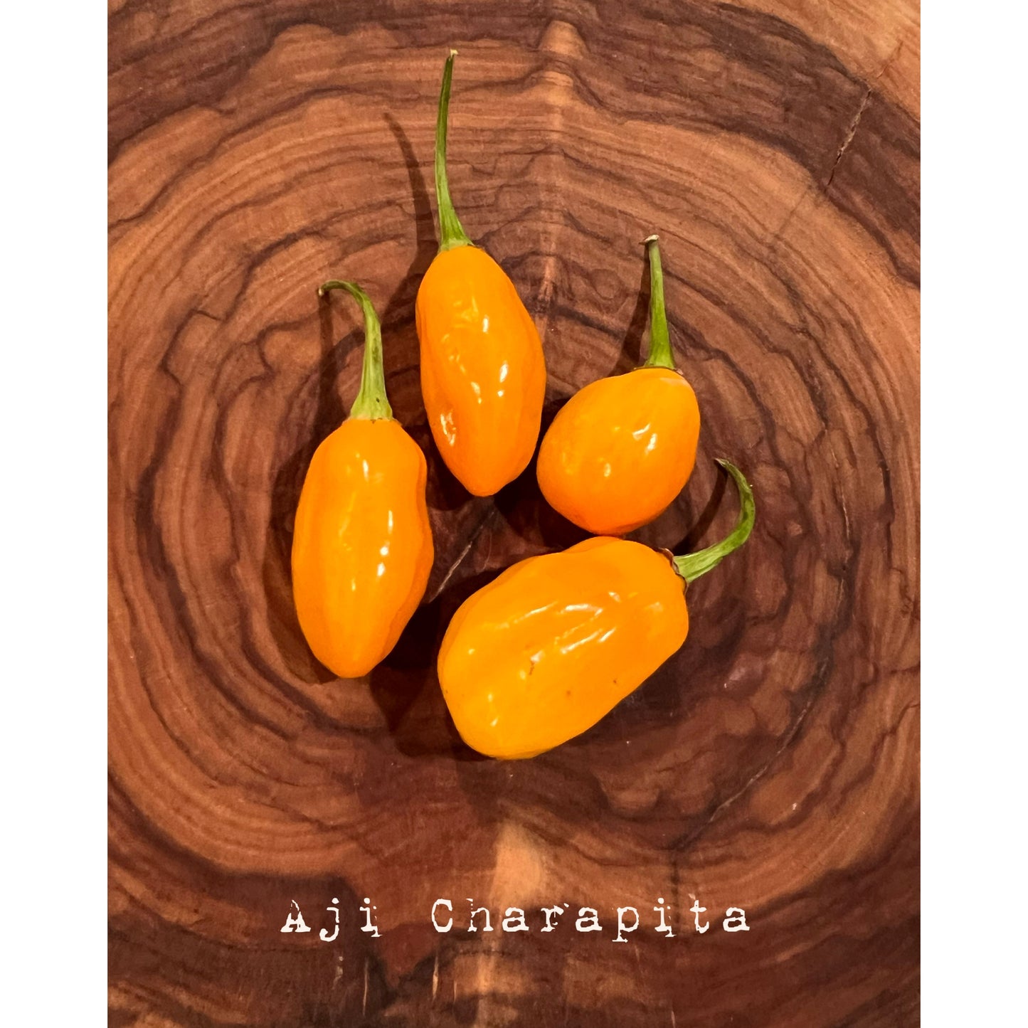 Aji Charapita - Gold Thumb Heirloom Hot Pepper Seeds