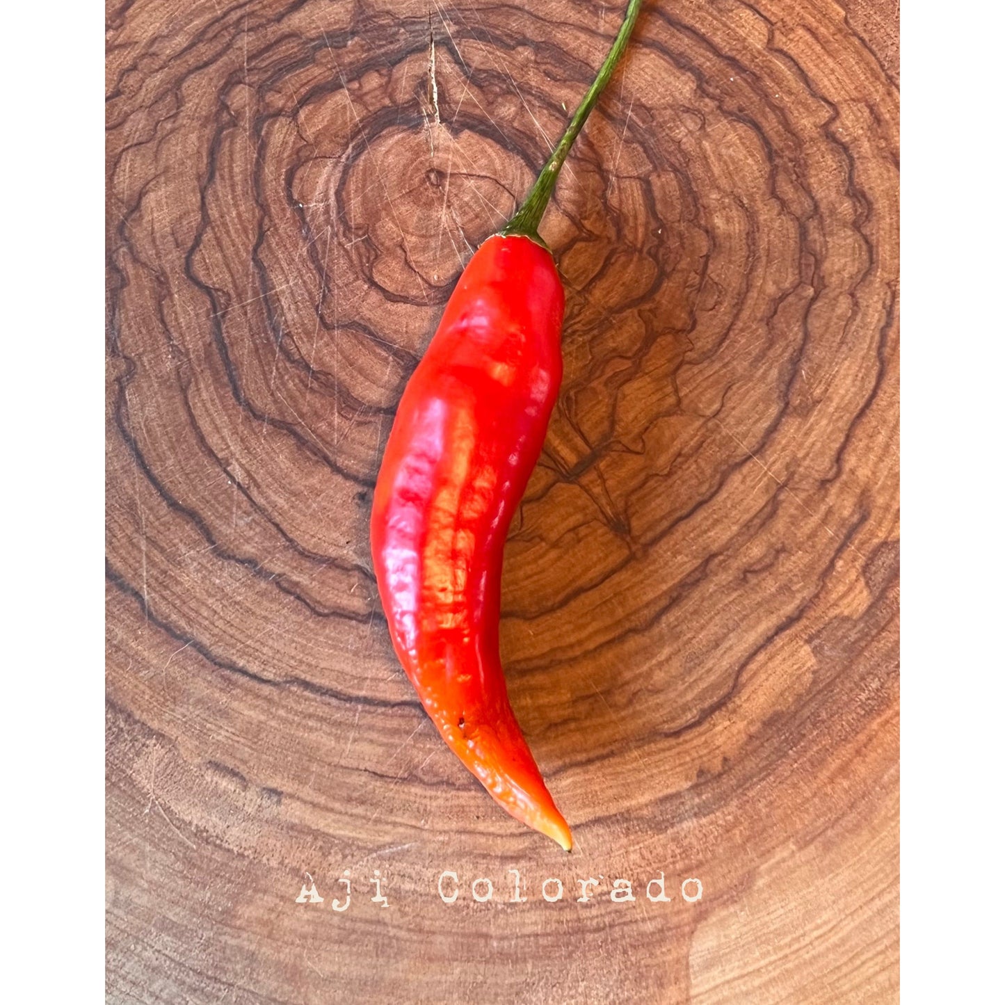 Aji Colorado - Hot Pepper Seeds