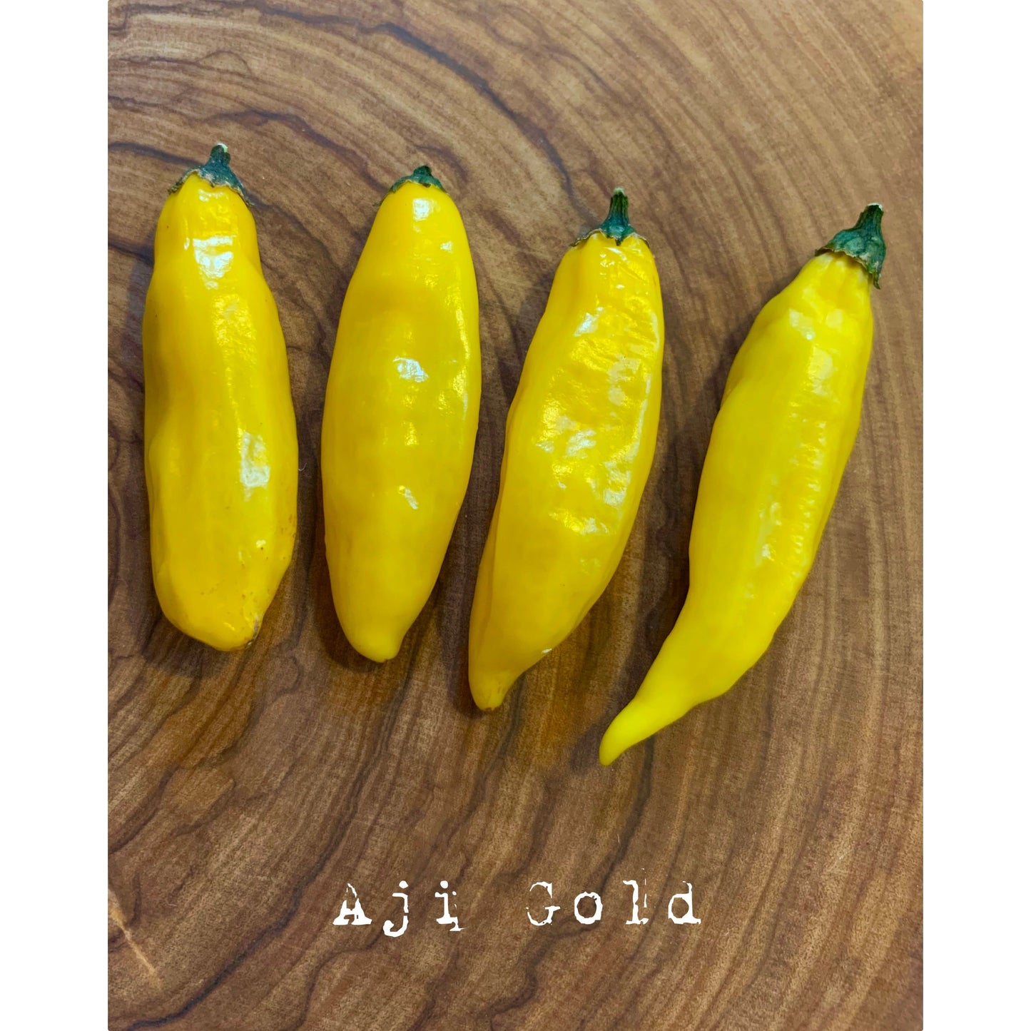 Aji Gold - Hot Pepper Seeds