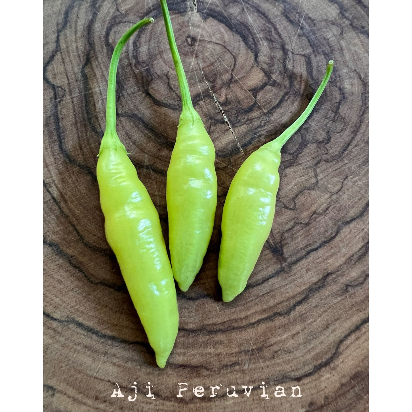 Aji Peruvian - Hot Pepper Seeds
