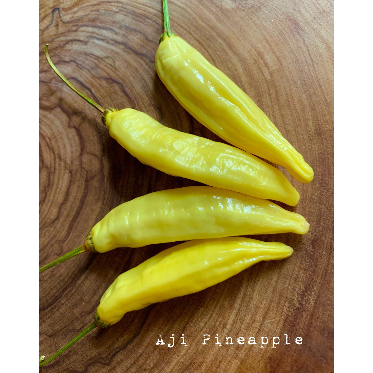 Aji Pineapple - Hot Pepper Seeds