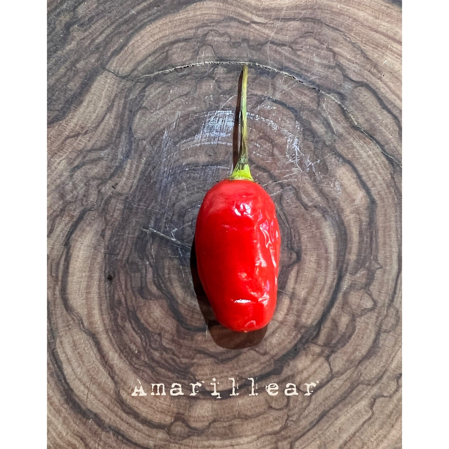 Amarillear - Hot Pepper Seeds