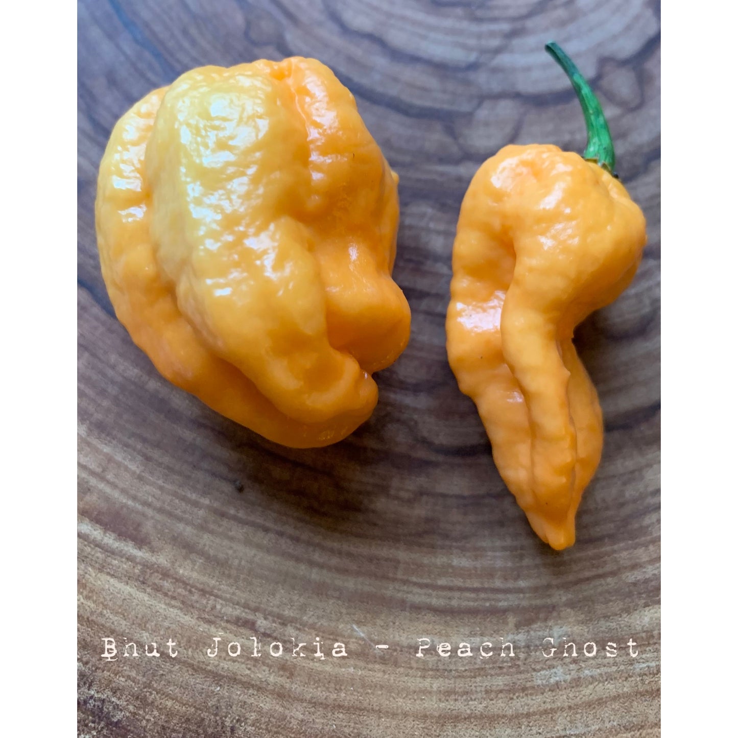Bhut Jolokia Peach - Peach Ghost - Hot Pepper Seeds