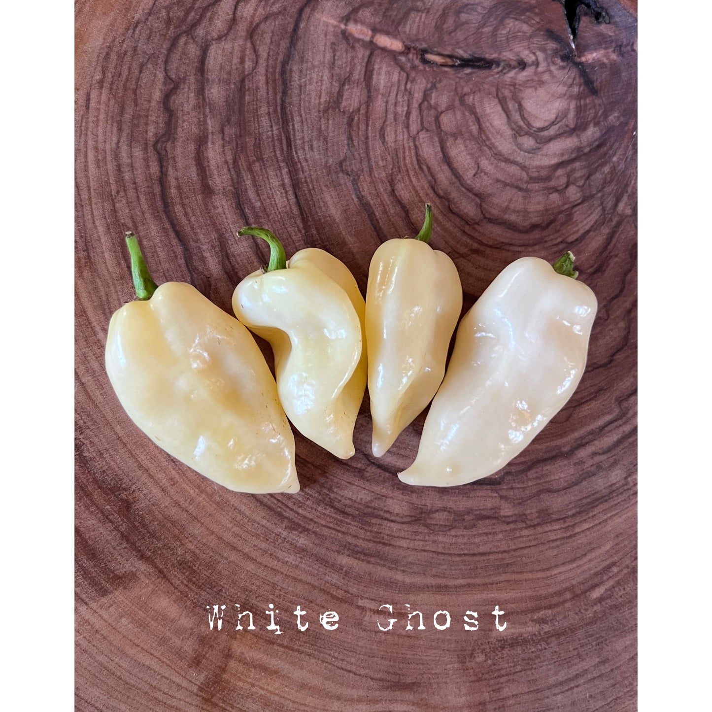 Bhut Jolokia White - White Ghost - Hot Pepper Seeds