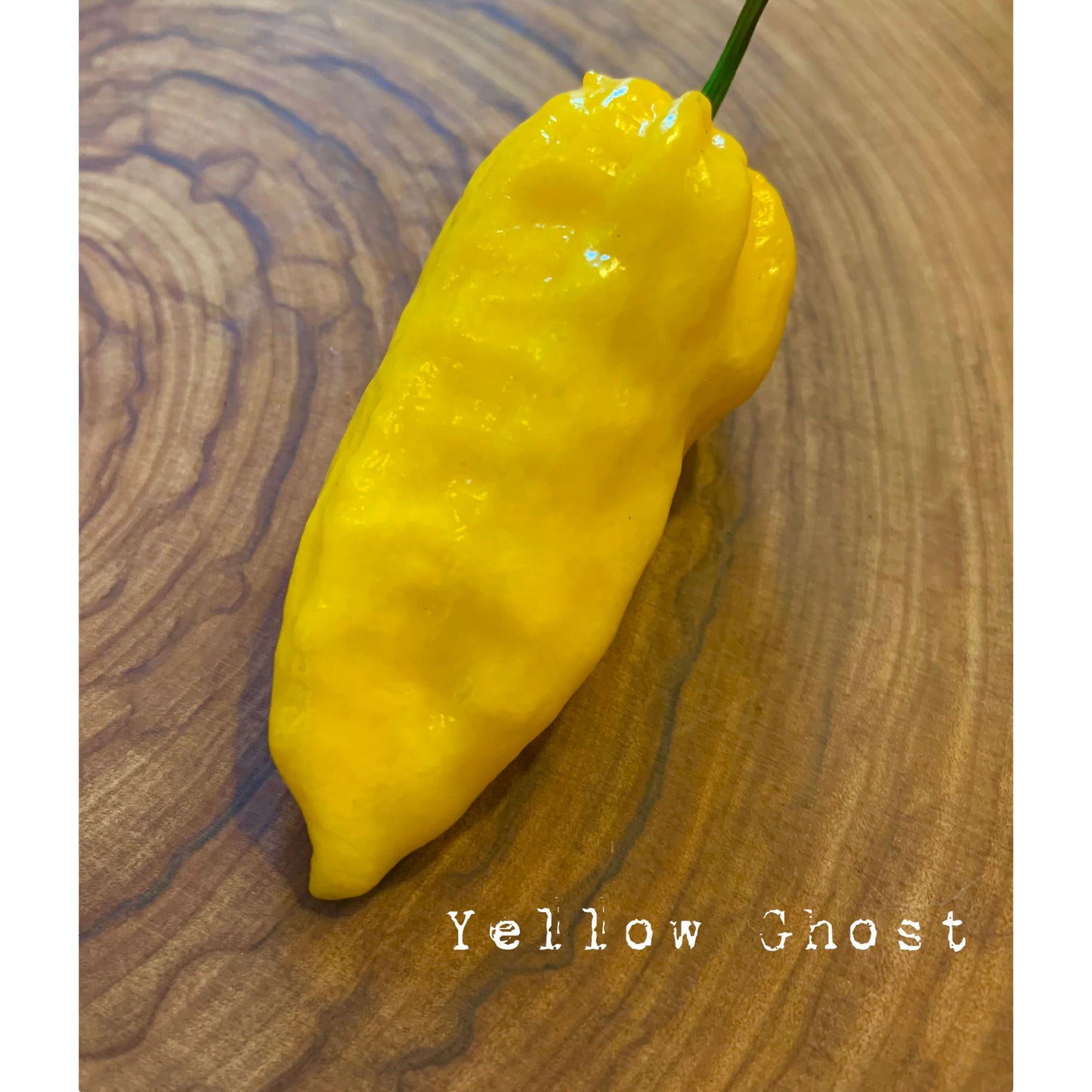 Bhut Jolokia Yellow - Yellow Ghost - Hot Pepper Seeds