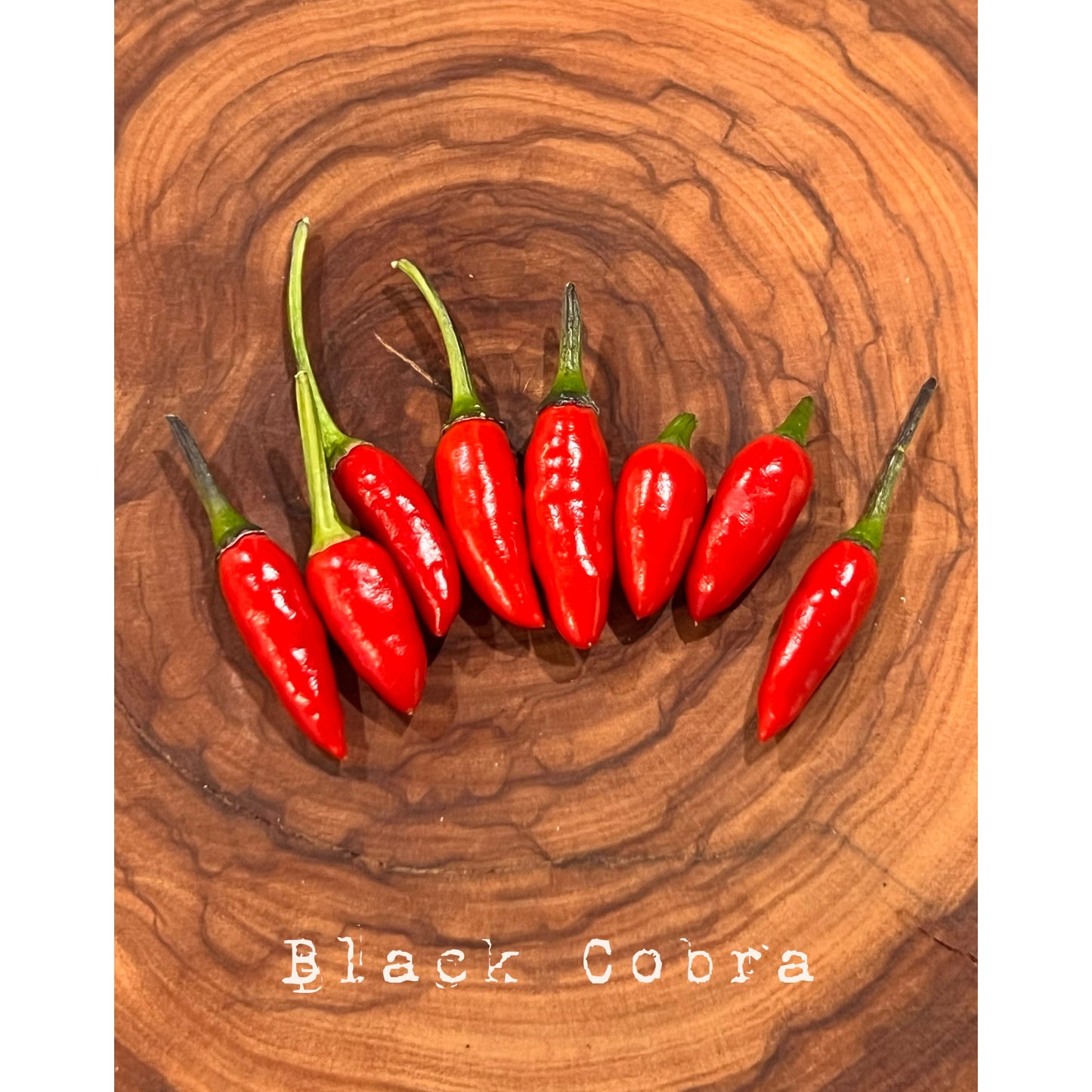 Black Cobra - Hot Pepper Seeds