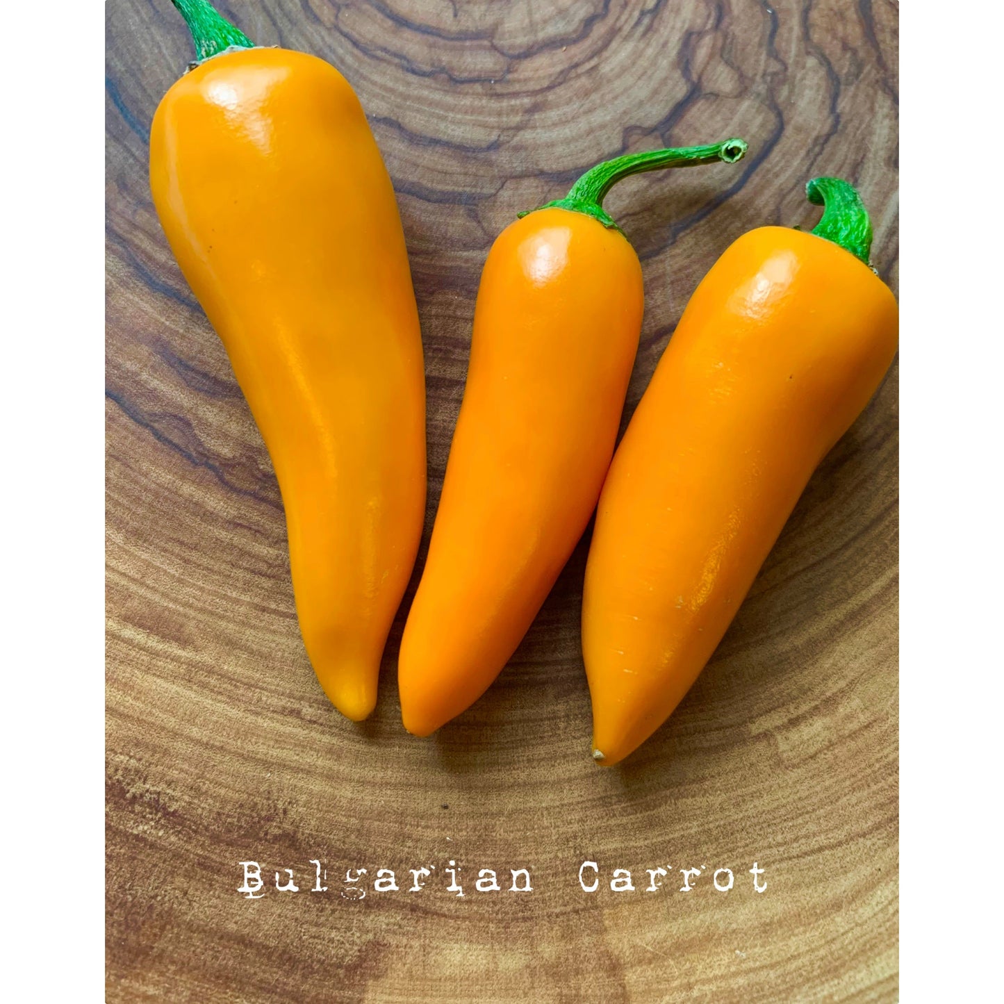 Bulgarian Carrot - Hot Pepper Seeds