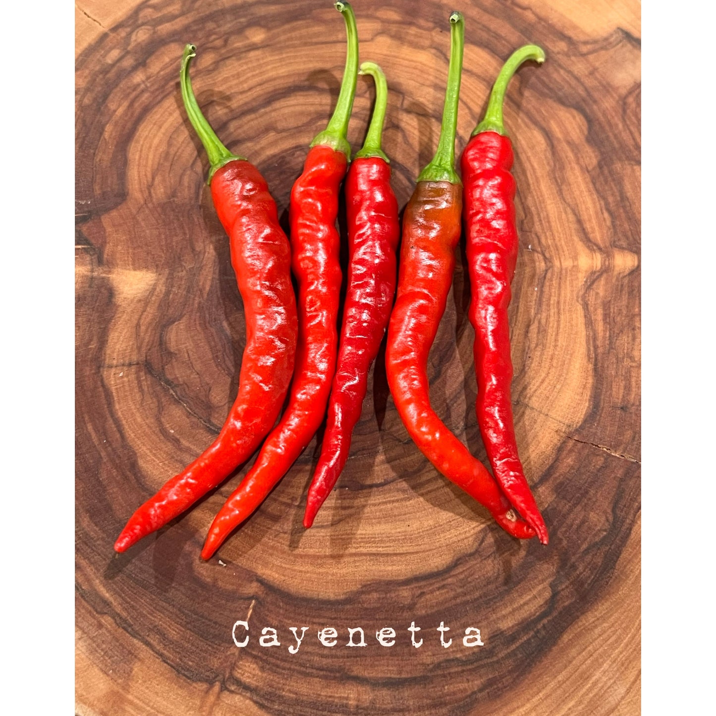 Cayennetta - Hot Pepper Seeds