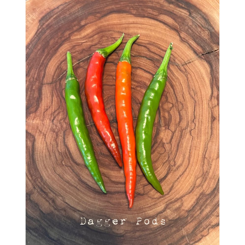 Dagger Pod - Hot Pepper Seeds