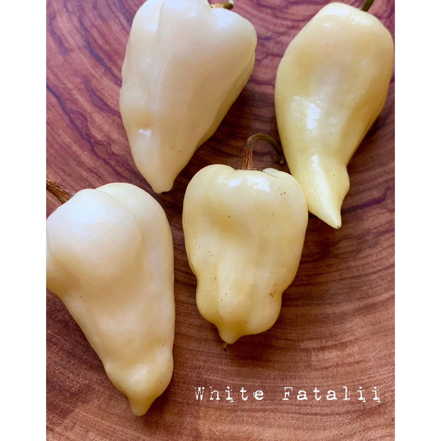 Fatalii - White - Hot Pepper Seeds