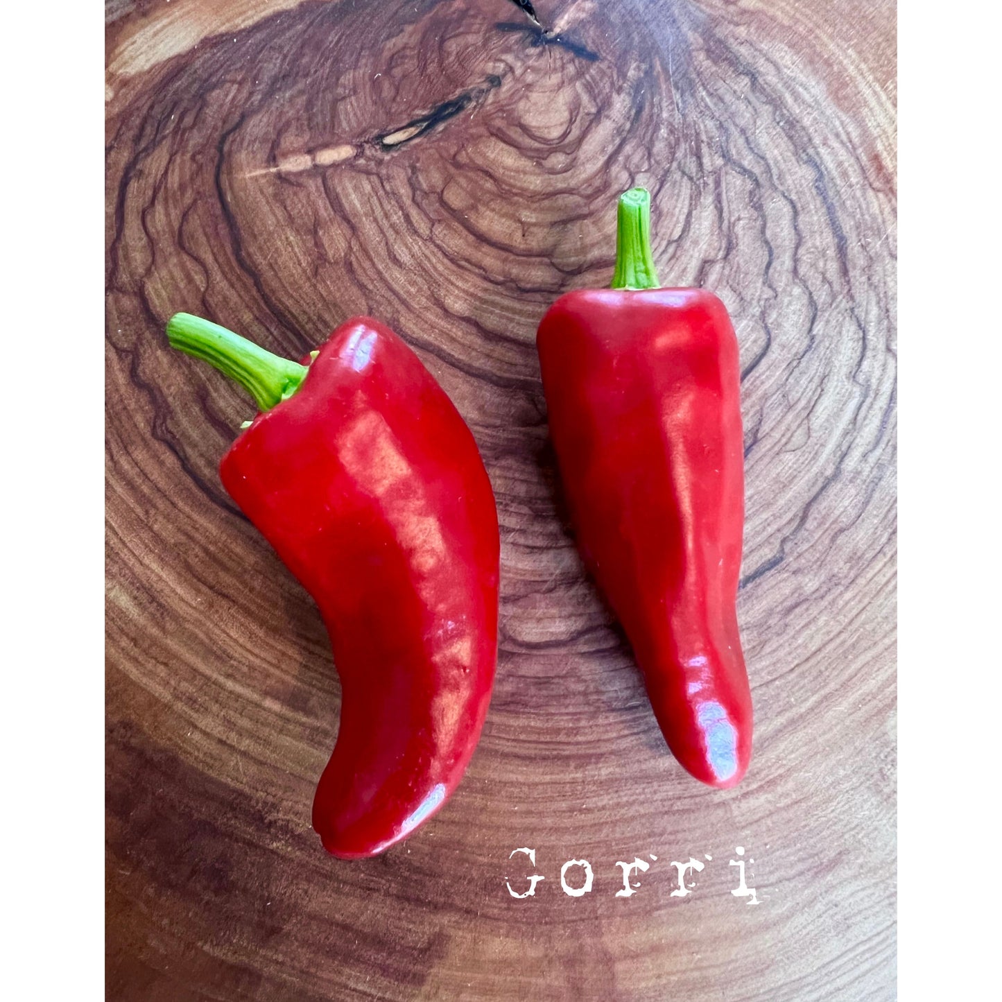 Gorri - Hot Pepper Seeds