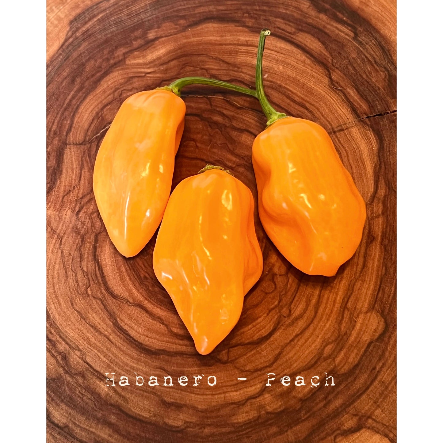 Habanero - Peach - Hot Pepper Seeds
