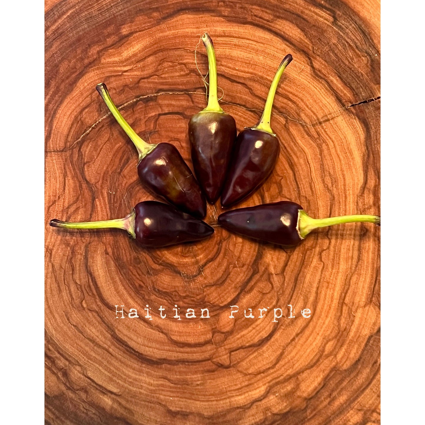 Haitian Purple - Hot Pepper Seeds