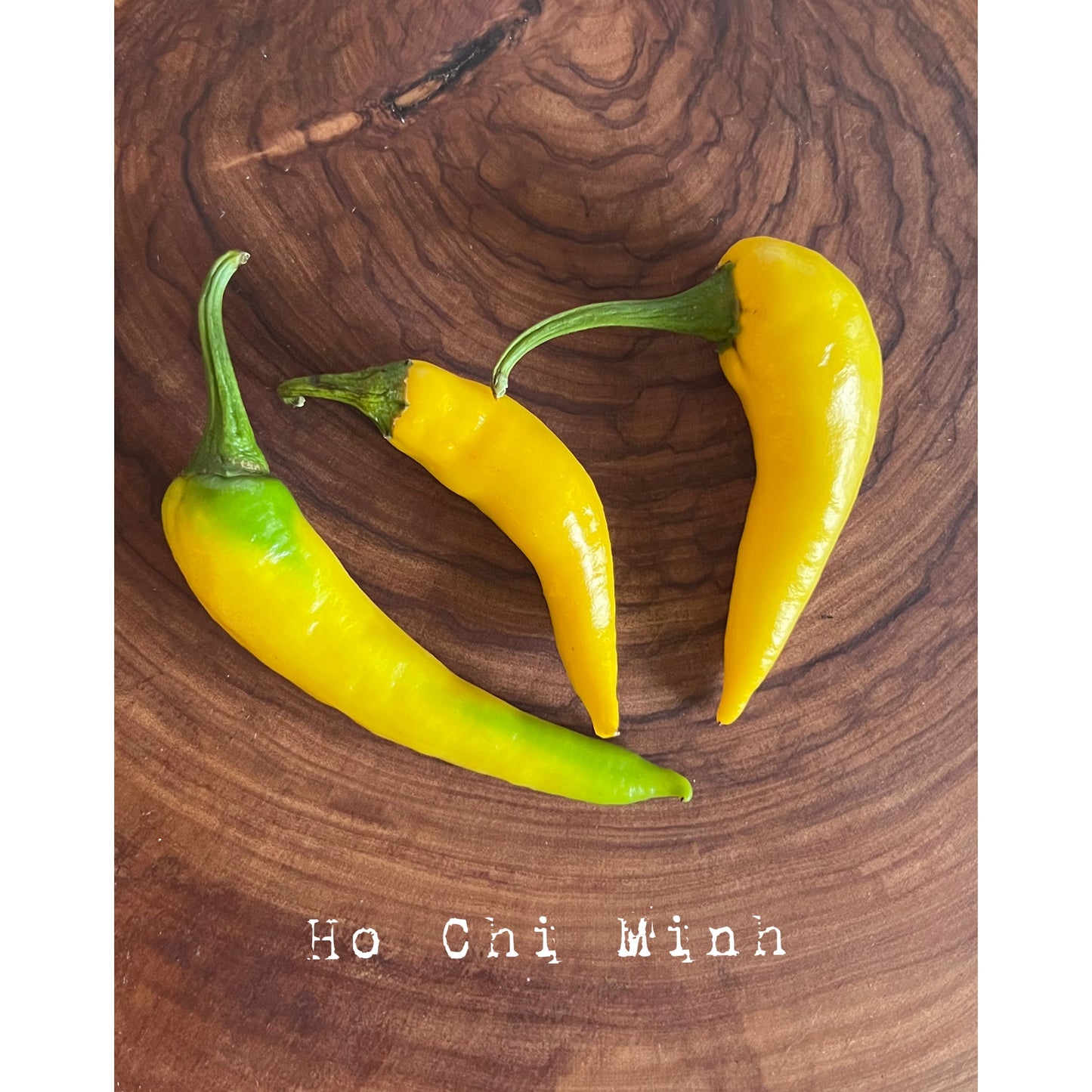 Ho Chi Minh - Hot Pepper Seeds