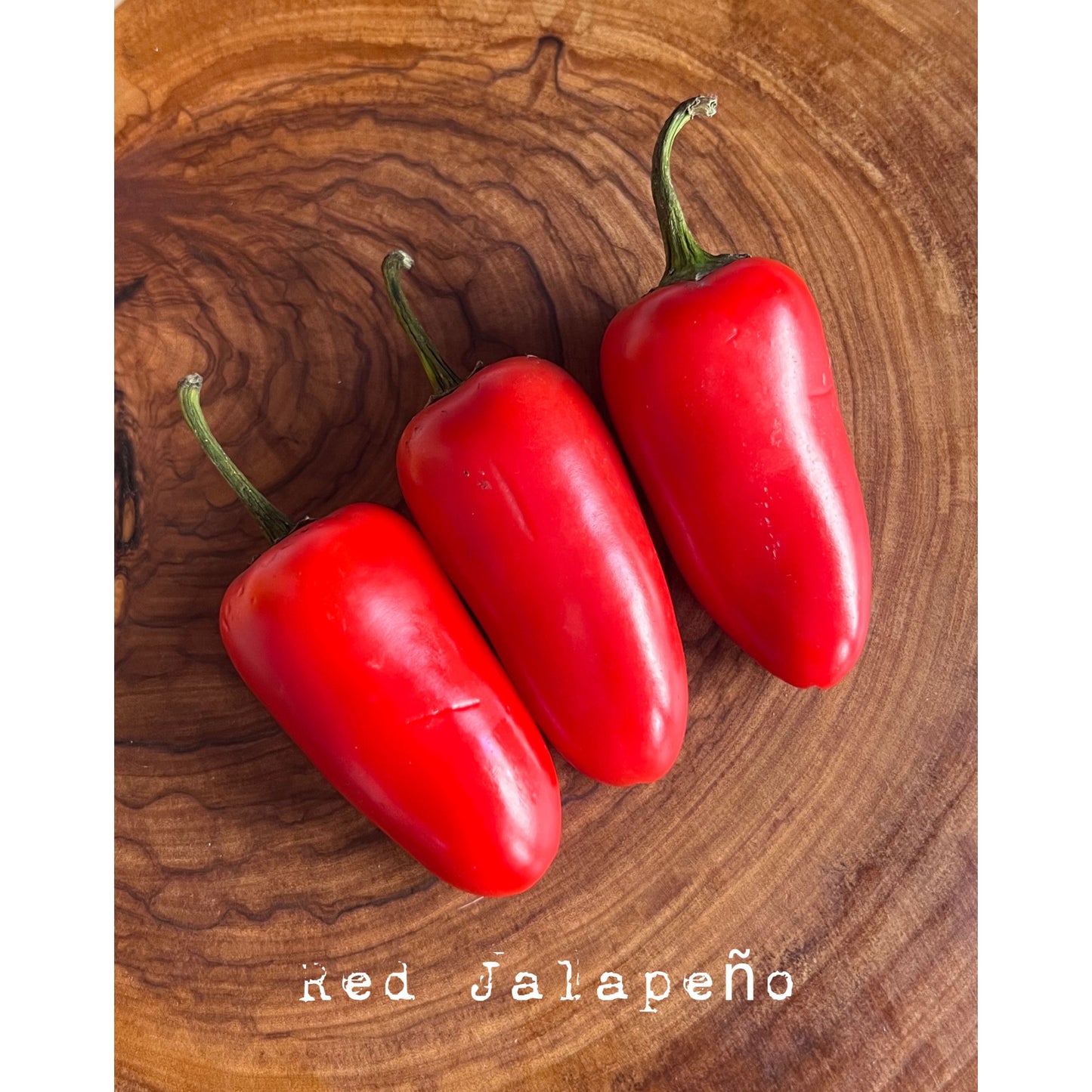 Jalapēno - Red - Hot Pepper Seeds
