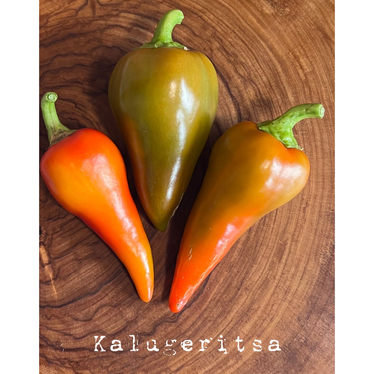 Kalugeritsa - Hot Pepper Seeds