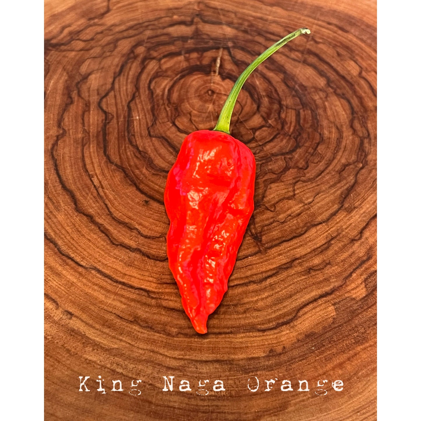 King Naga - Orange - Hot Pepper Seeds