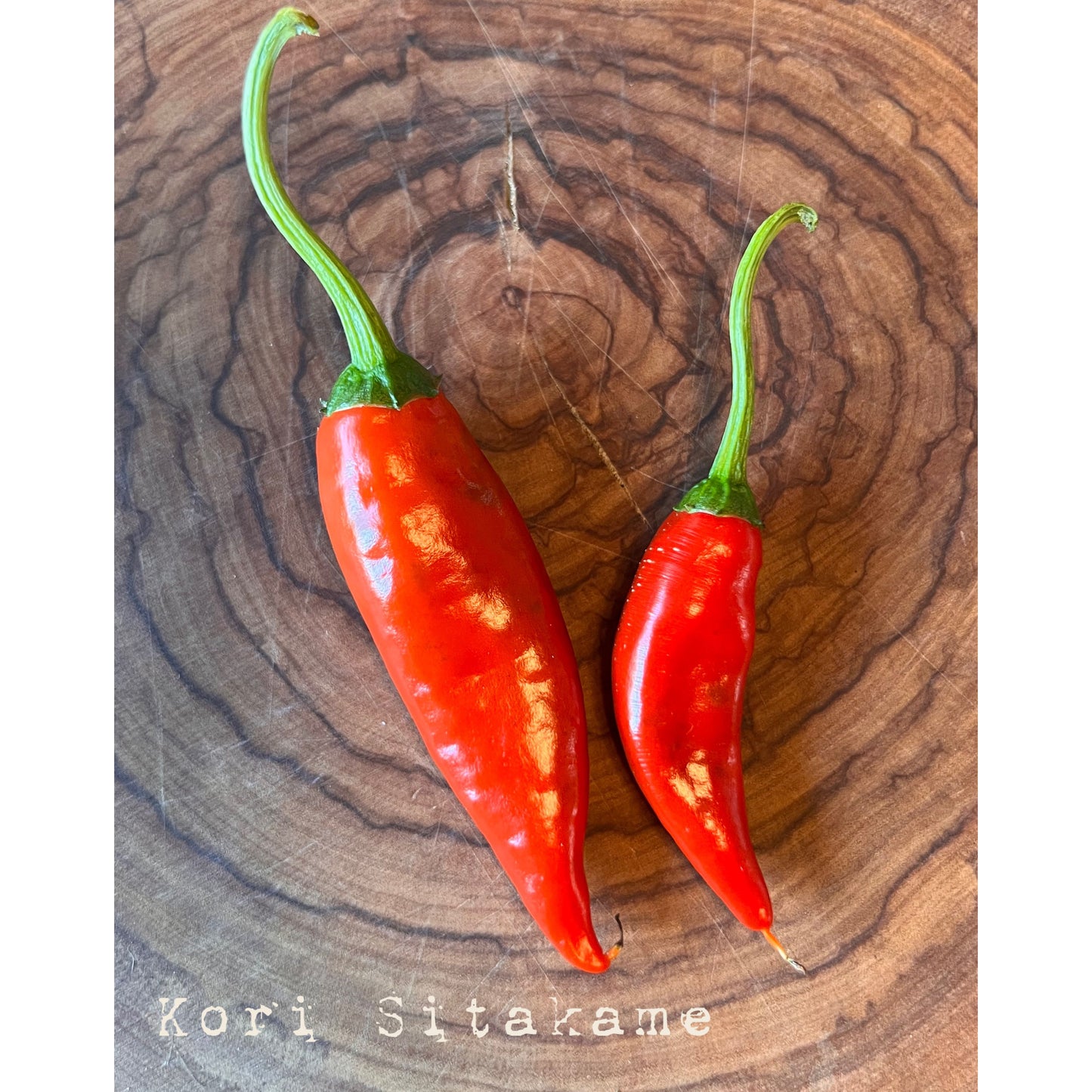 Kori Sitakame- Hot Pepper Seeds