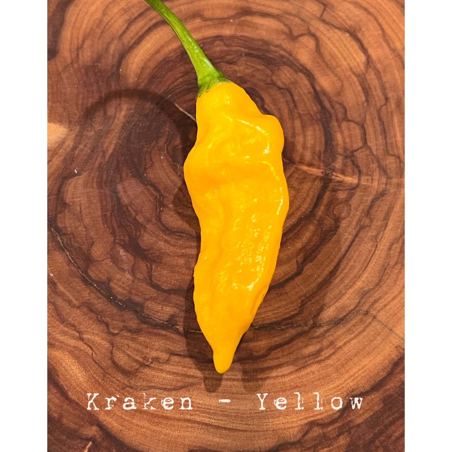 Kraken Scorpion - Yellow - (Bhut Jolokia X Trinidad Scorpion) - Hot Pepper Seeds