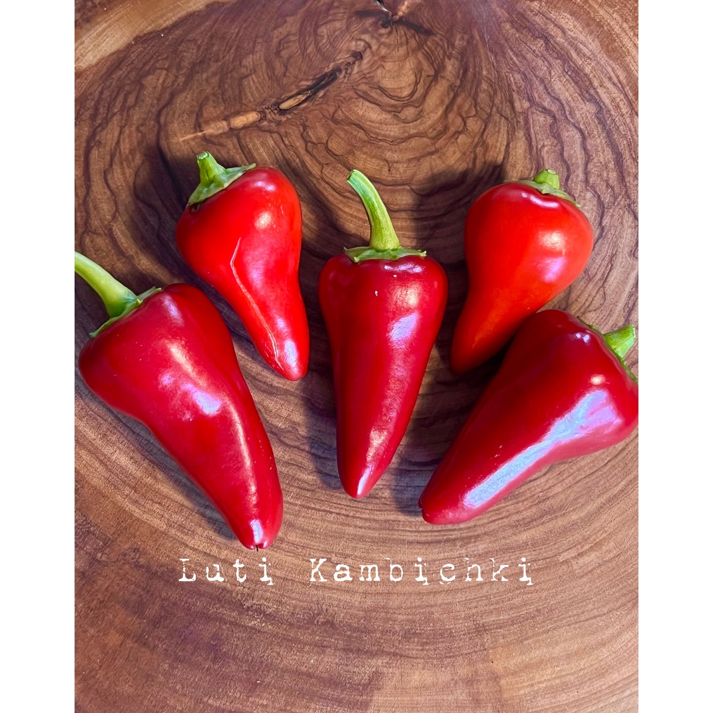 Luti Kambichki - Hot Pepper Seeds