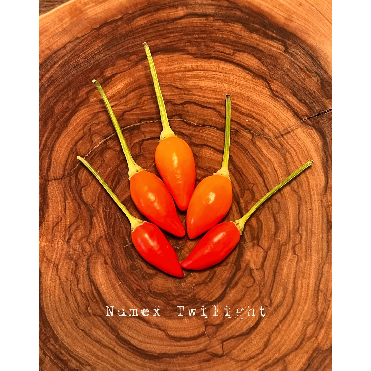Numex Twilight - Hot Pepper Seeds