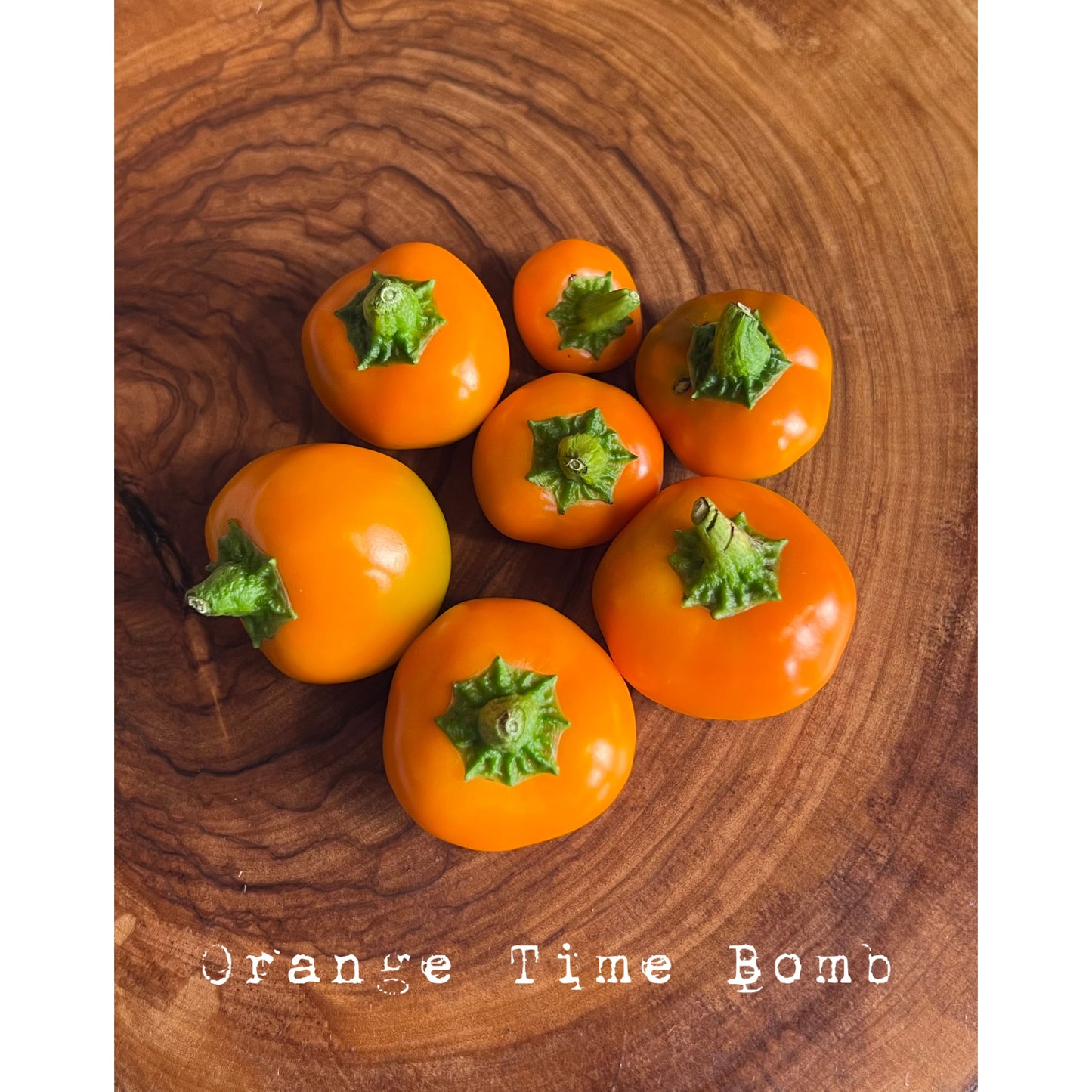 Time Bomb - Orange - Hot Pepper Seeds