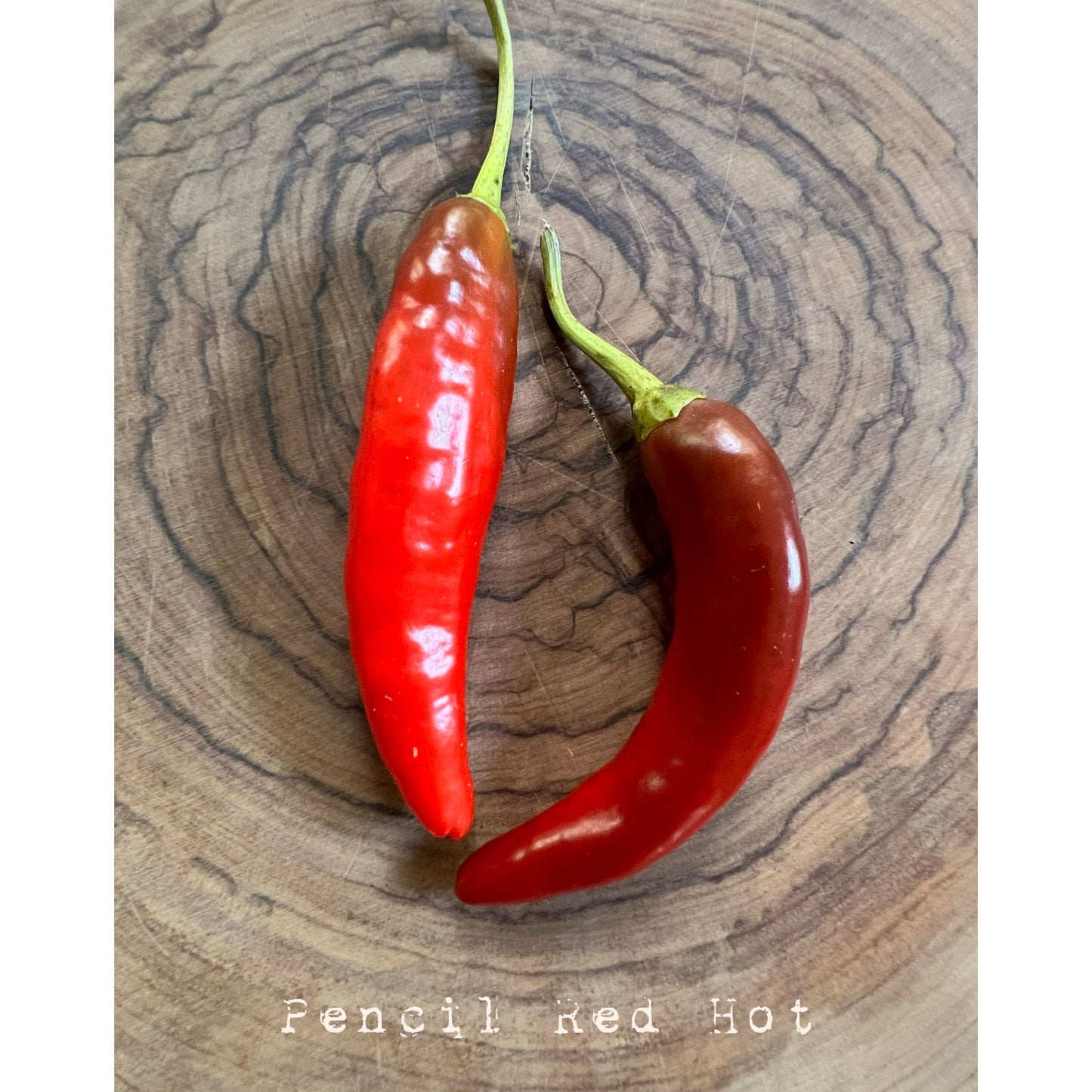 Pencil (Red) - Hot Pepper Seeds