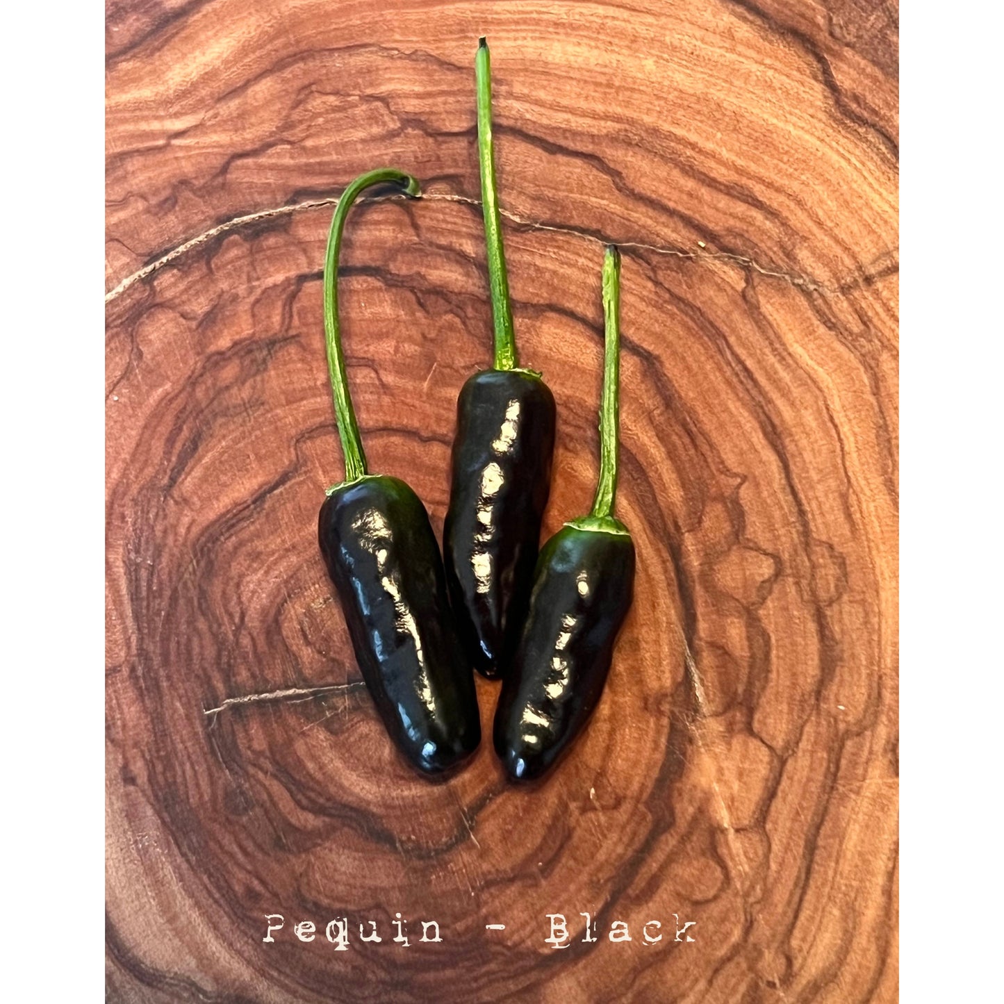 Pequin - Black - Hot Pepper Seeds