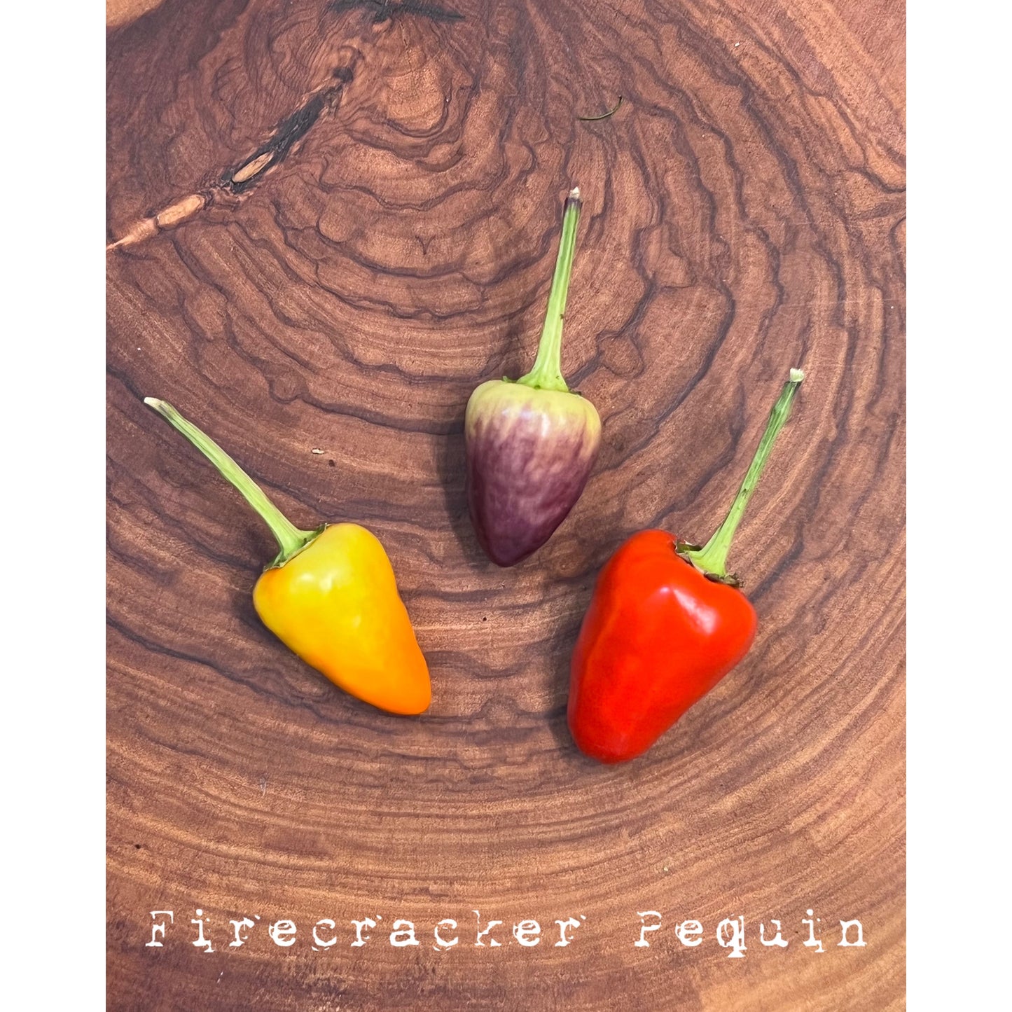Pequin - Firecracker - Hot Pepper Seeds