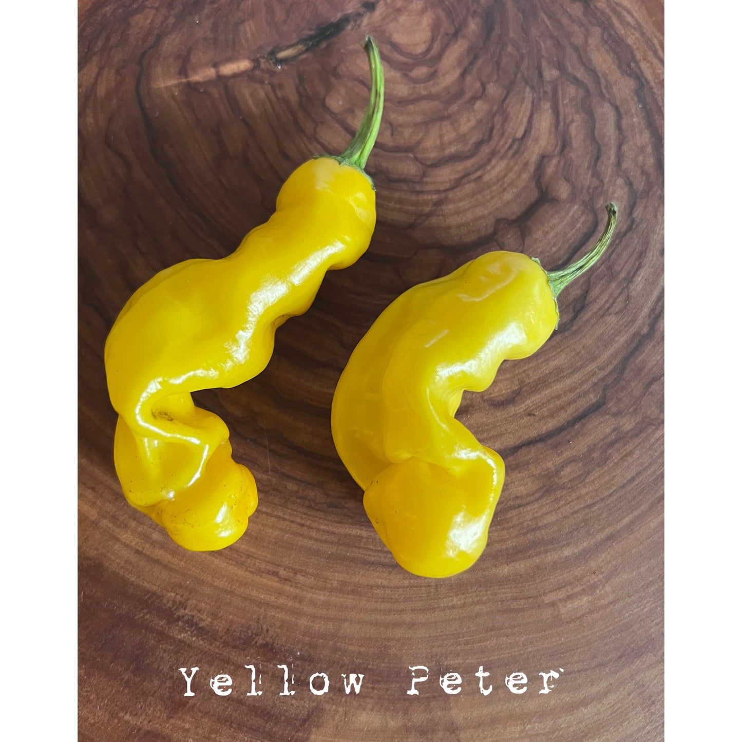 Peter P3nis Pepper - Yellow - Hot Pepper Seeds