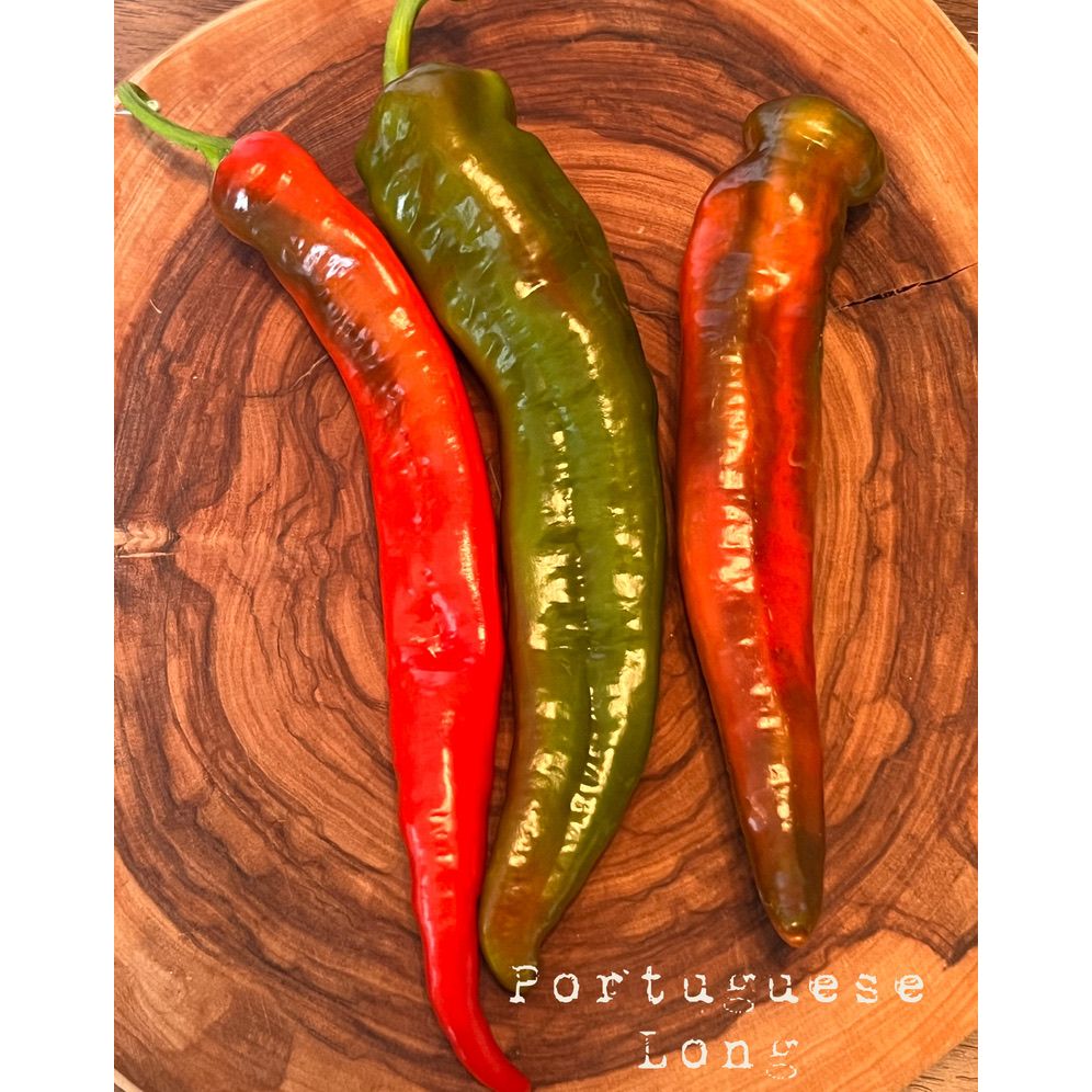 Portuguese Long - Hot Pepper Seeds