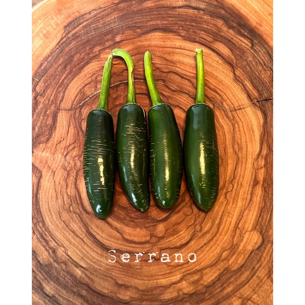 Serrano - Hot Pepper Seeds