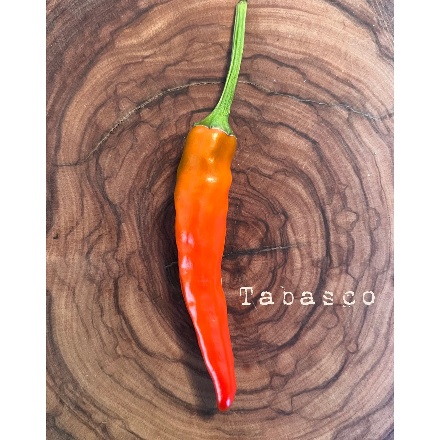 Tabasco - Hot Pepper Seeds