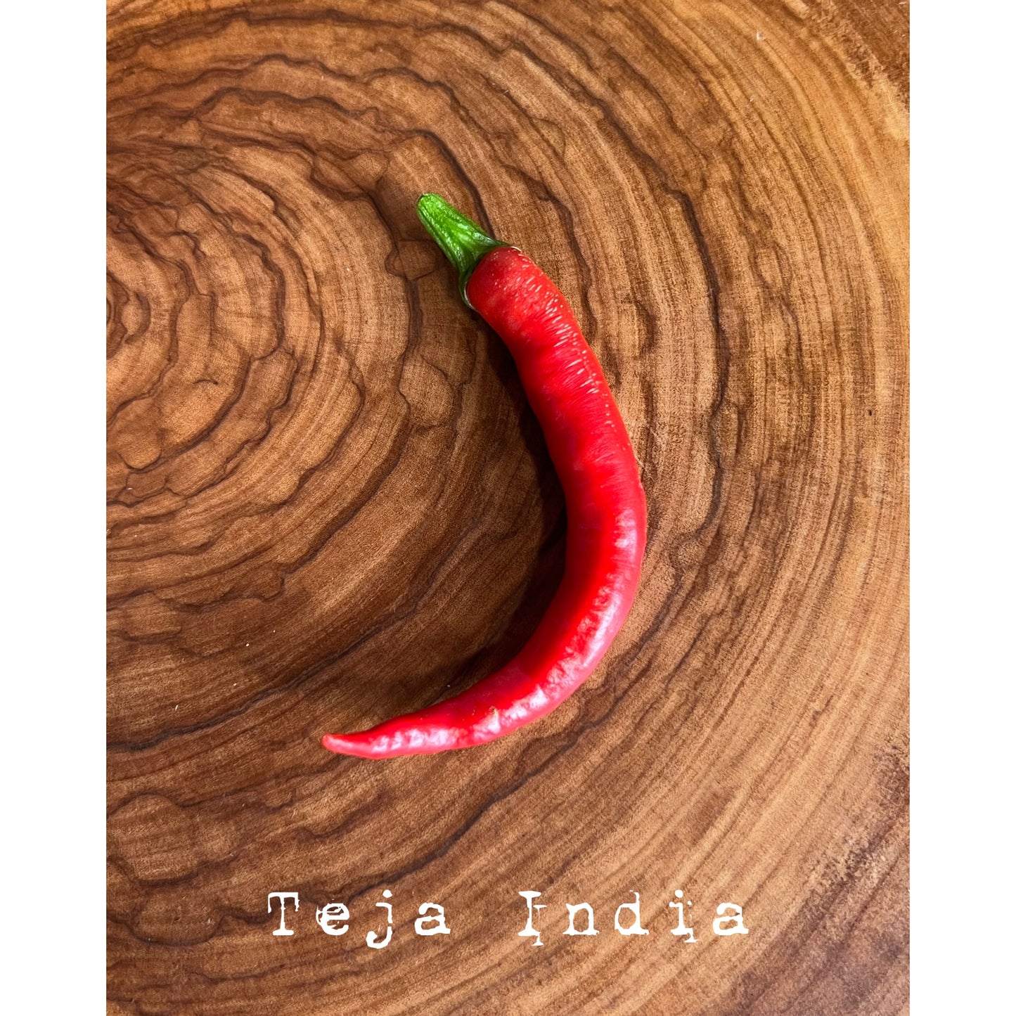 Teja Indian - Hot Pepper Seeds