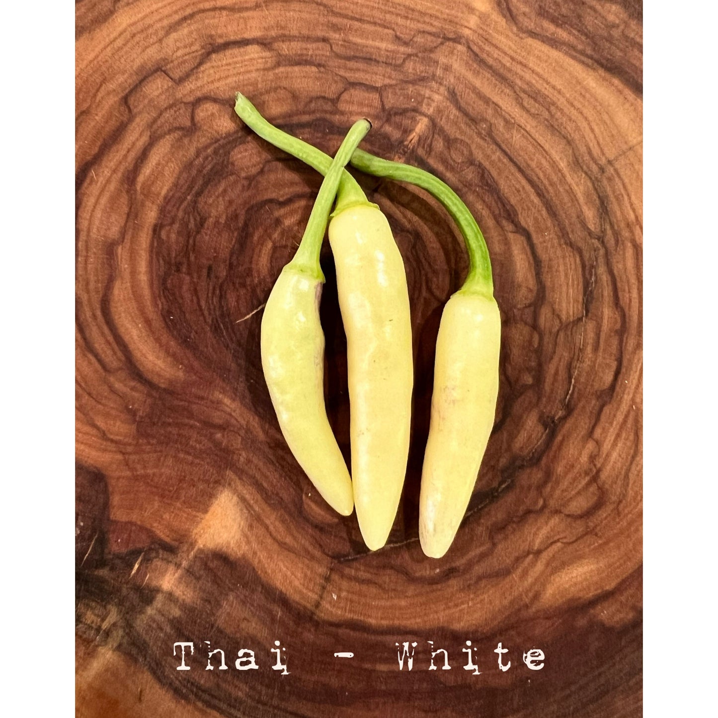 Thai - White - Hot Pepper Seeds