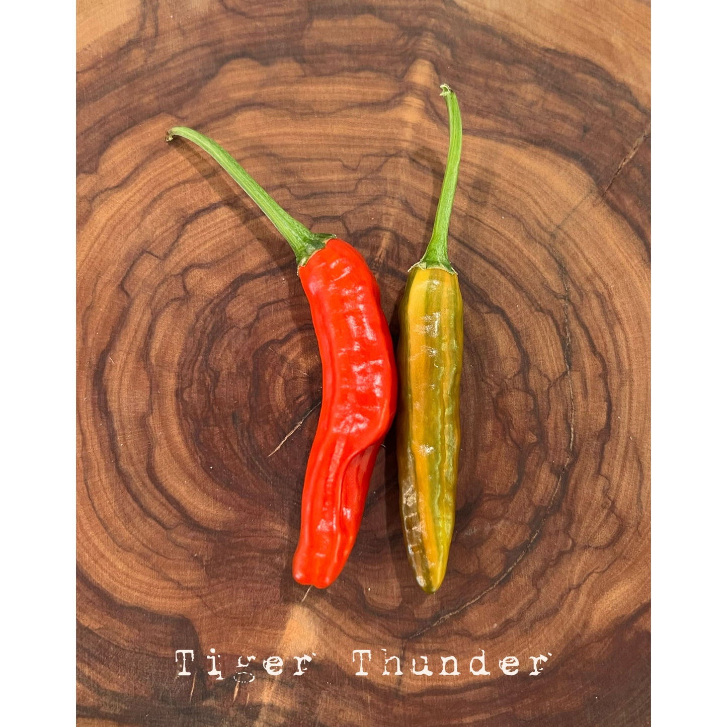 Tiger Thunder - Hot Pepper Seeds