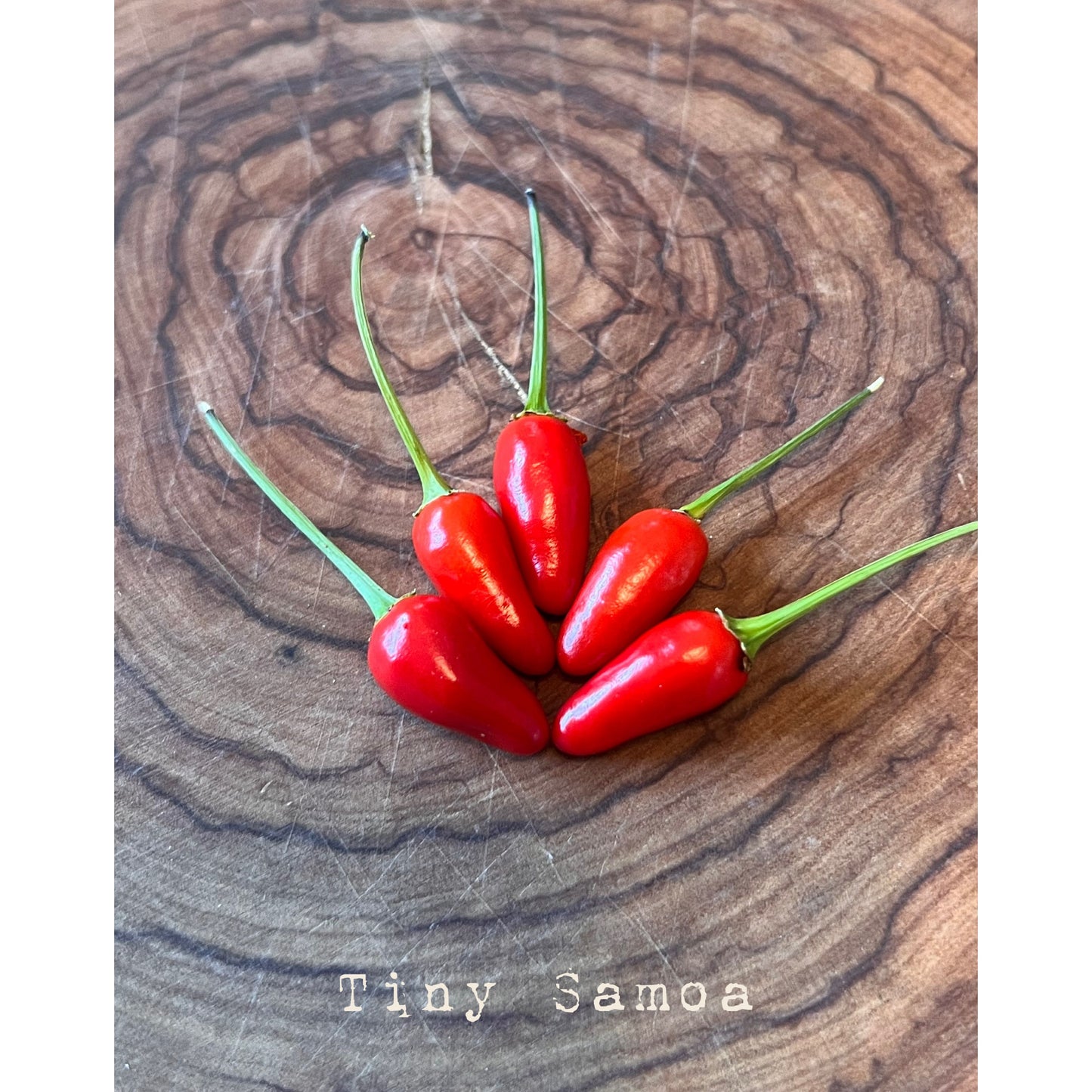 Tiny Samoa - Hot Pepper Seeds