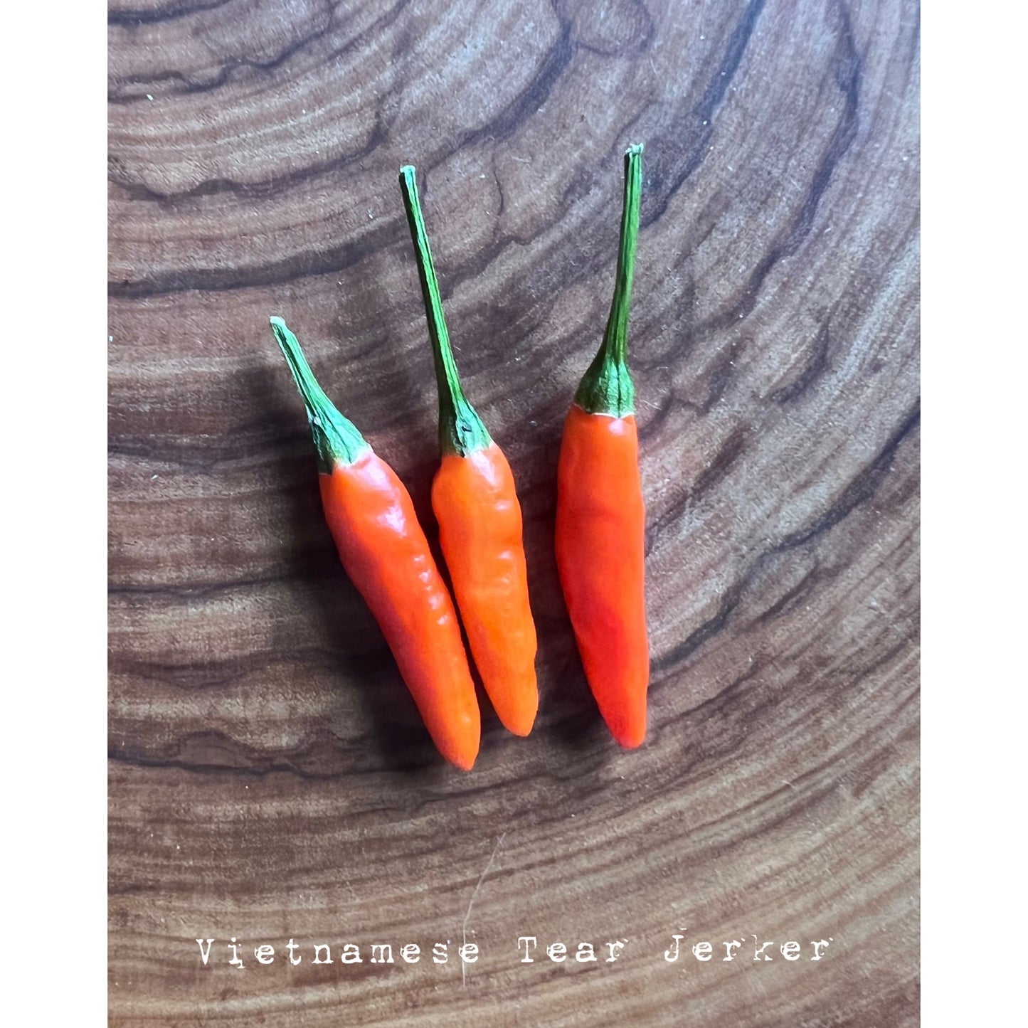 Vietnamese Tear Jerker - Hot Pepper Seeds