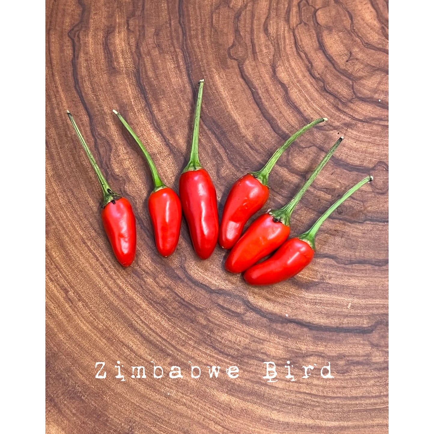 Zimbabwe Bird - Hot Pepper Seeds