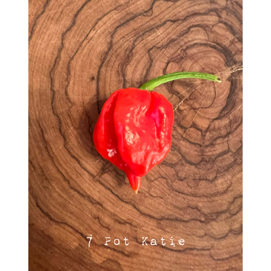 7 Pot Katie - Hot Pepper Seeds