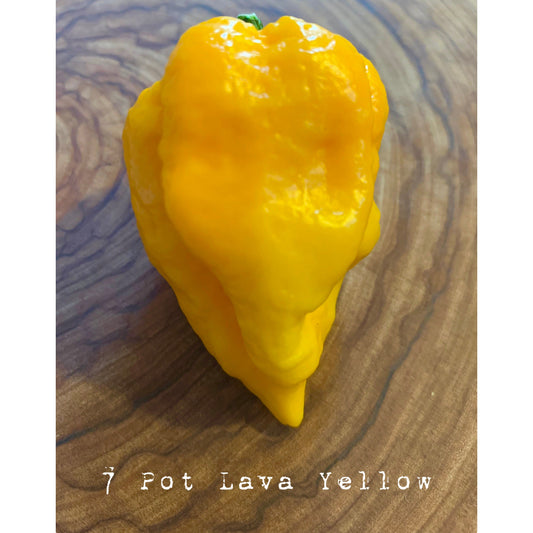 7 Pot Lava - Yellow - Hot Pepper Seeds