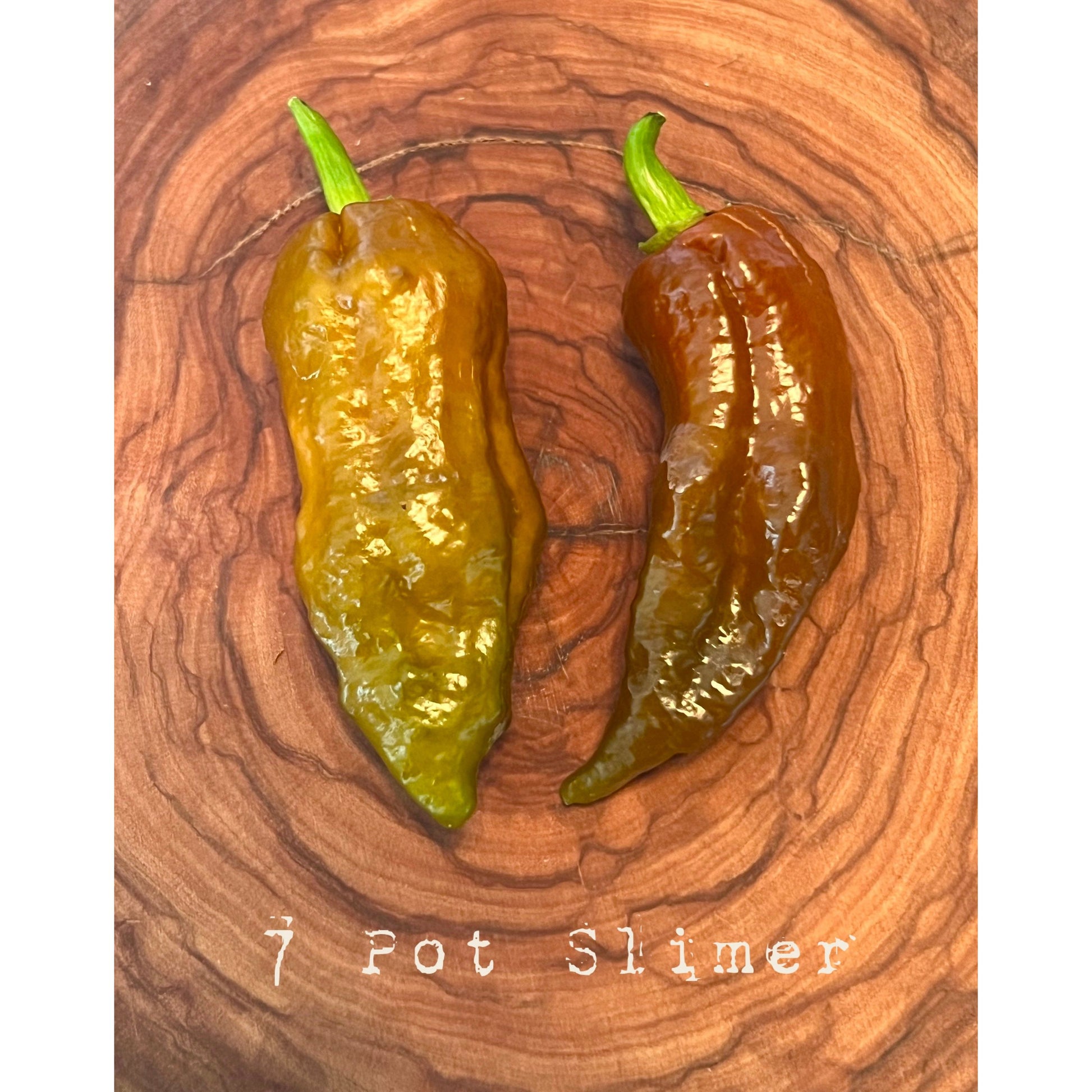 7 Pot Slimer - Hot Pepper Seeds