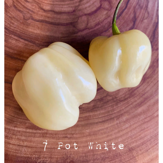 7 Pot White - Hot Pepper Seeds