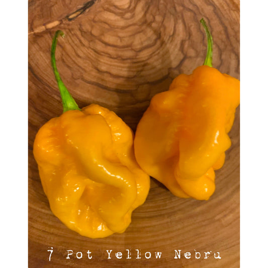 7 Pot Yellow Nebru - Hot Pepper Seeds