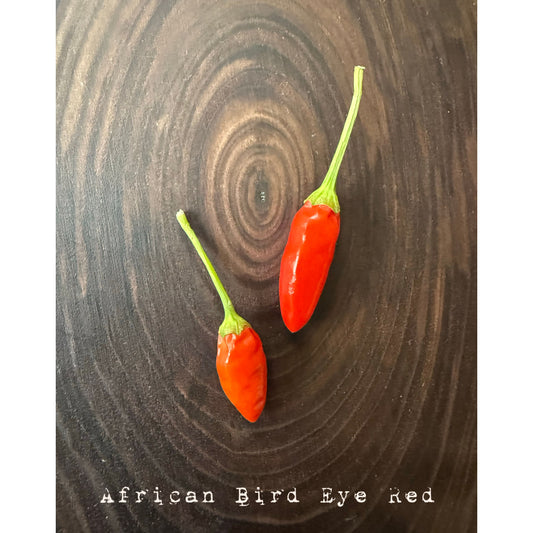 African Birds Eye - Red Hot Pepper Seeds