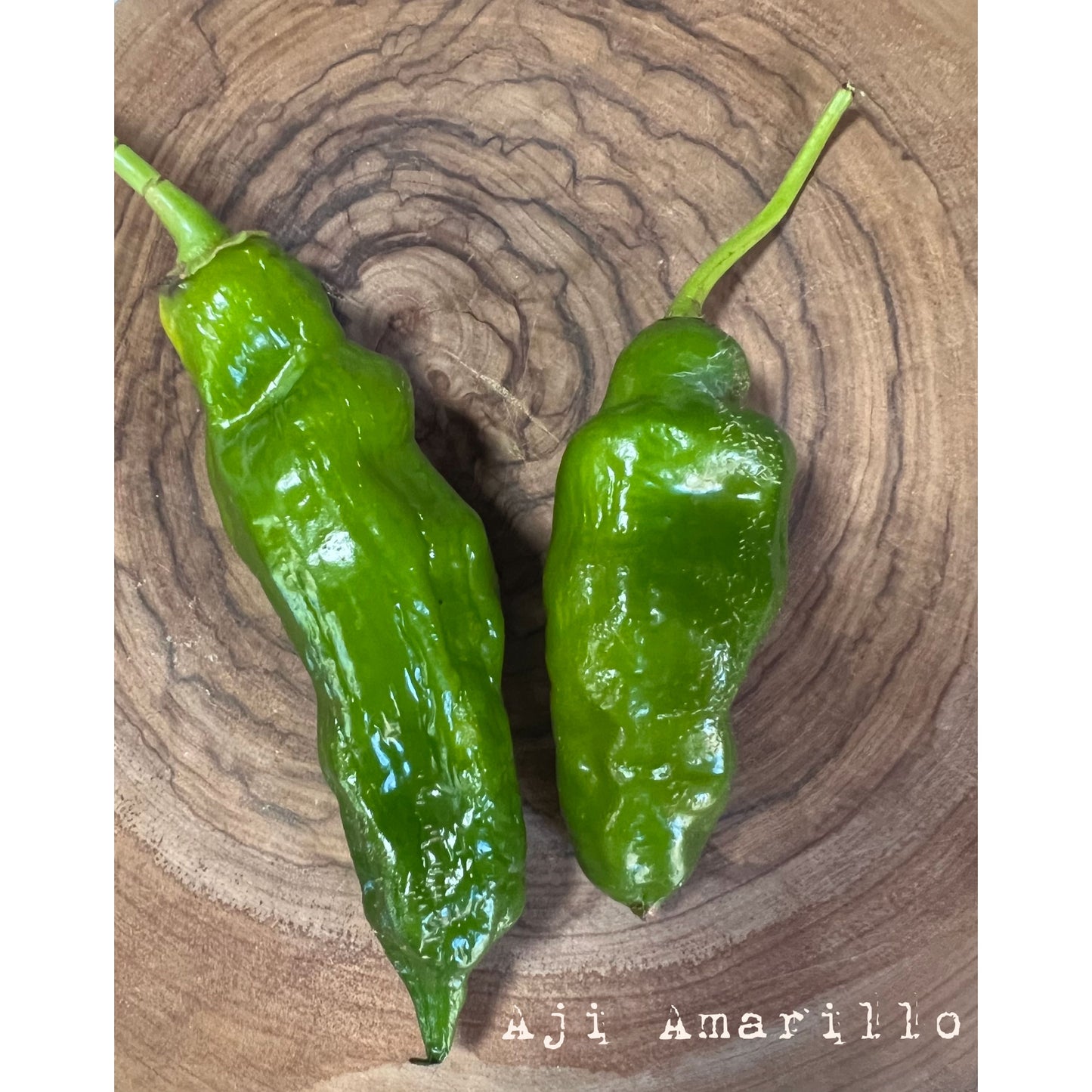 Aji Amarillo - Hot Pepper Seeds