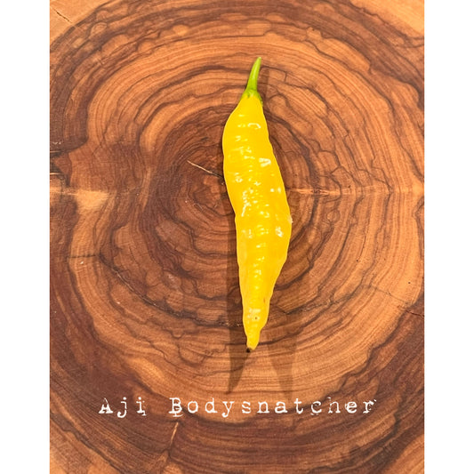 Aji Bodysnatcher - Hot Pepper Seeds